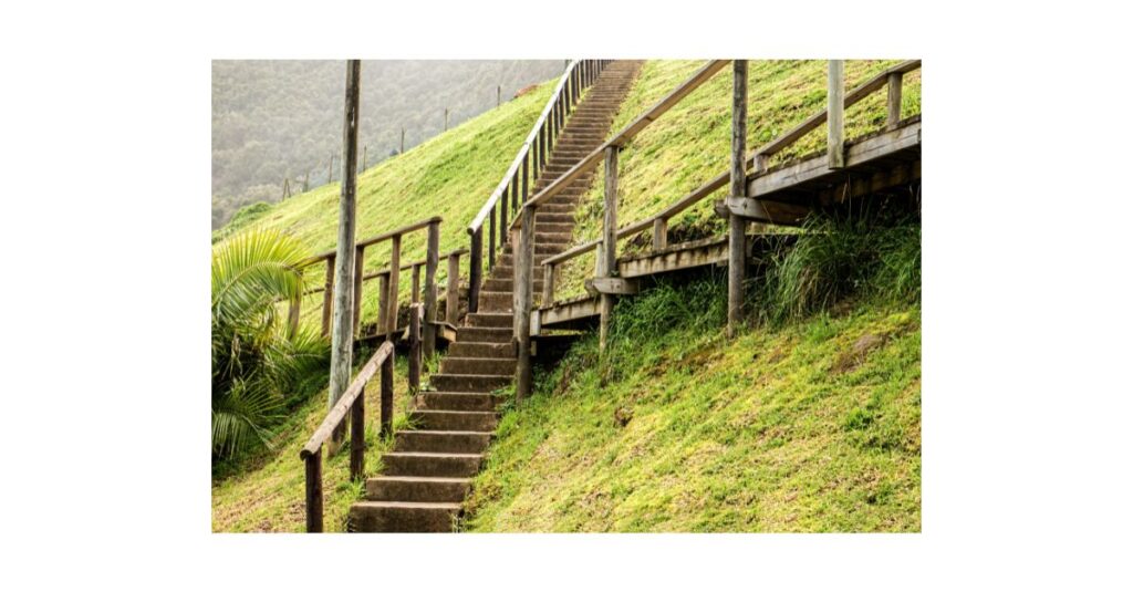 Steps up a green hillside
